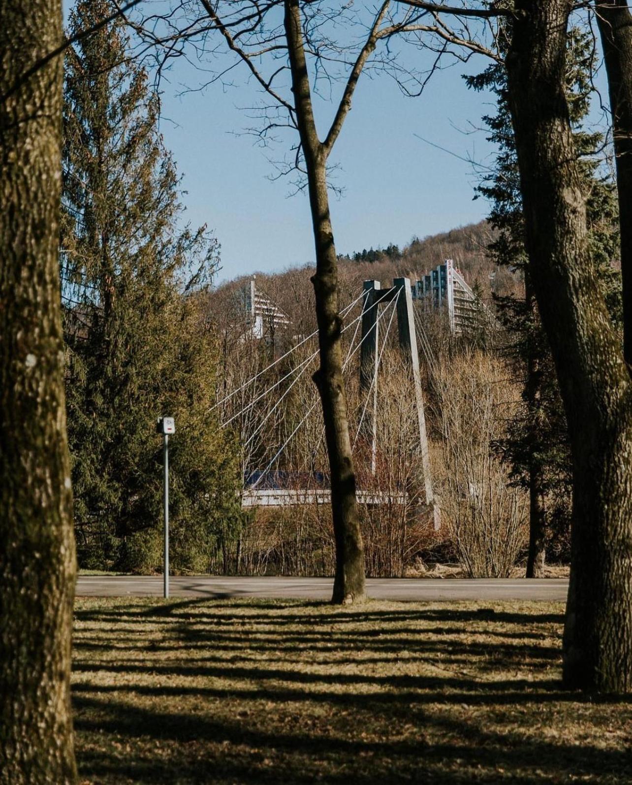 Ustronne Zacisze - Zdroj Zeta Park Apartment *