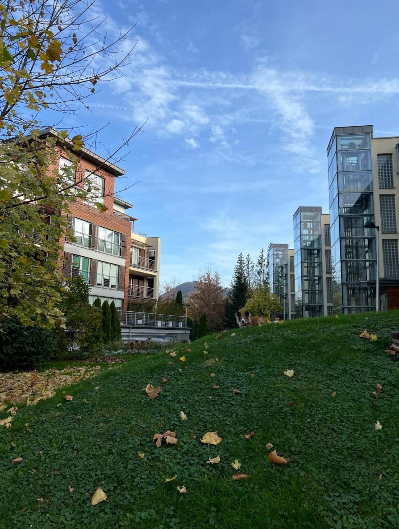 Apartment Ustronne Zacisze - Zdroj Zeta Park